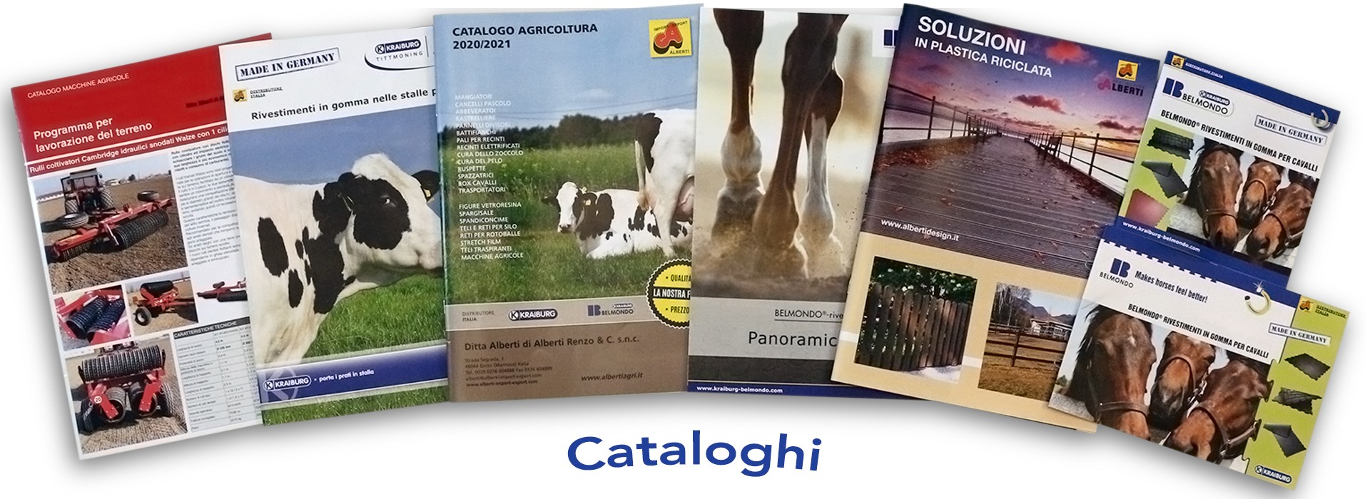 Cataloghi Alberti in formato pdf da scaricare